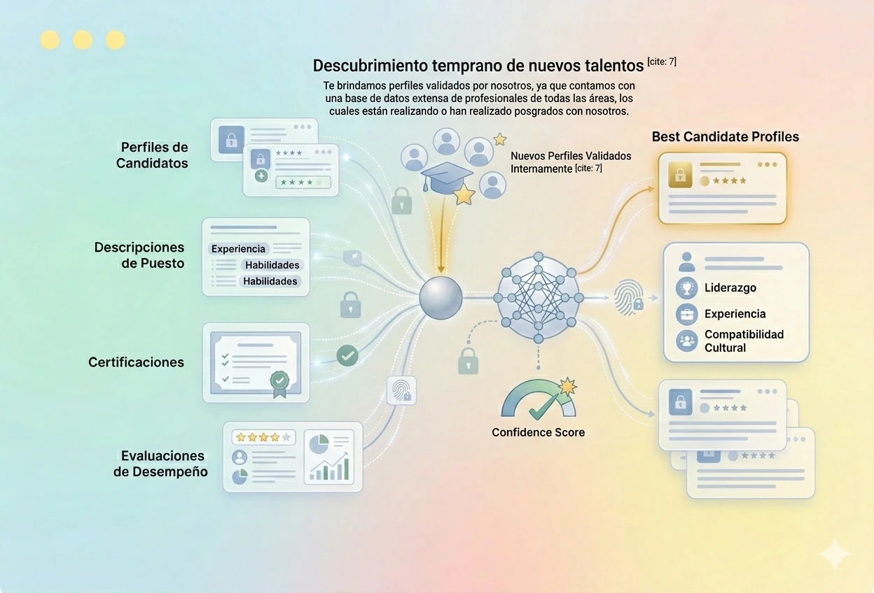 Como funcionan nuestros servicios